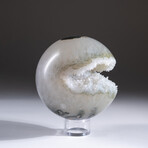 Genuine Agate Geode Sphere + Acrylic Display Stand