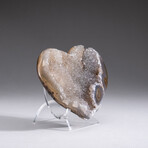 Genuine Agate and Quartz Crystal Cluster Heart+ Acrylic Display Stand // V1