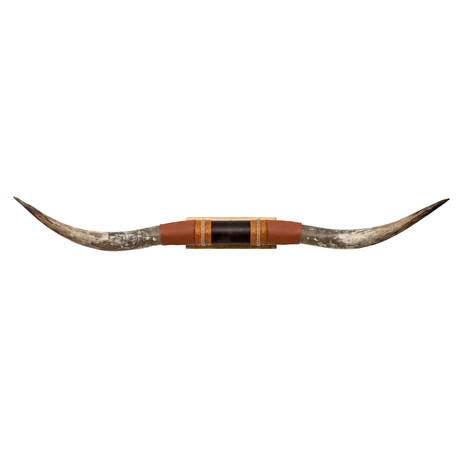 Brown Leather Mount // Standard Longhorns // Trapper