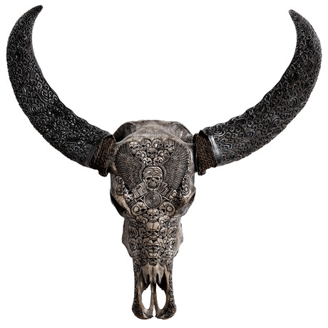 Carved Horns Buffalo Skull // Gray From Hell