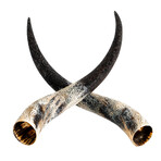 Carved Horns Longhorn Skull // Gray Boho
