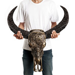 Carved Horns Buffalo Skull // Celtic Spirit // Metallic Finish