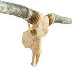 Carved Longhorn Skull // Feathers