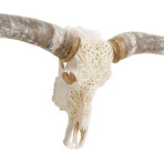 Carved Longhorn Skull // Tribal #2