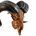 Carved Ram Skull // Antique Phoenix