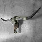 Carved Horns Longhorn Skull // Predator // Metallic Finish
