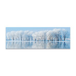 Frozen Lake & Trees (16"H x 48"W x 0.5"D)