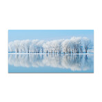 Frozen Lake & Trees (16"H x 48"W x 0.5"D)