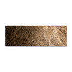 Wood Texture 2 (16"H x 48"W x 0.5"D)