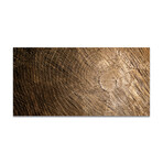 Wood Texture 2 (16"H x 48"W x 0.5"D)
