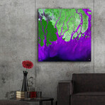 Ganges RIver Delta from the Earth as Art series (12"H x 12"W x 0.13"D)