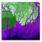 Ganges RIver Delta from the Earth as Art series (12"H x 12"W x 0.13"D)