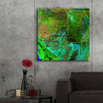 Everglades from the Earth as Art series (12"H x 12"W x 0.13"D)