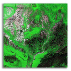Araca River from the Earth as Art series (12"H x 12"W x 0.13"D)