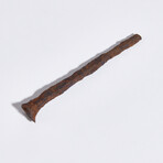 Large Roman "Crucifixion Spike" Type Nail // Early 1st century AD