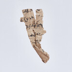 Ancient Papyrus Scroll Fragment From The Holy Land