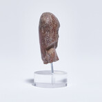 Ancient Ecuador, 3500 - 1500 BC // Valdivia "Venus" Bust