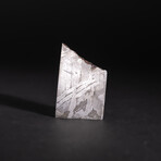 Genuine Natural Seymchan Meteorite Square Slice // V3