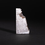 Genuine Natural Seymchan Meteorite Square Slice // V15