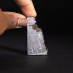 Genuine Natural Seymchan Meteorite Square Slice // V15