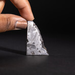 Genuine Natural Seymchan Meteorite Square Slice // V9