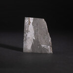 Genuine Natural Seymchan Meteorite Square Slice // V8