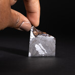 Genuine Natural Seymchan Meteorite Square Slice // 36g