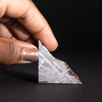 Genuine Natural Seymchan Meteorite Square Slice // V2