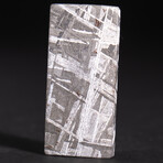Genuine Natural Seymchan Meteorite Square Slice // V11