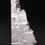 Genuine Natural Seymchan Meteorite Square Slice // V14