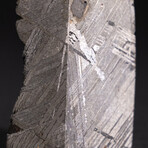 Genuine Natural Seymchan Meteorite Square Slice // V1