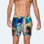 Strada Swim Shorts // Multicolor (M)