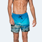 Monaco Swim Shorts // Blue (M)