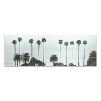 Palm Trees & Sea (16"H x 48"W x 0.5"D)
