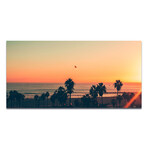 Beach, Palm Trees & Sunset (16"H x 48"W x 0.5"D)