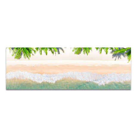 Aerial Beach & Palm Trees Portrait (16"H x 48"W x 0.5"D)