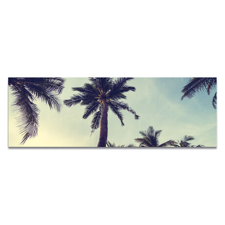 Palm Trees & Blue Sky (16"H x 48"W x 0.5"D)