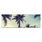 Palm Trees & Blue Sky (16"H x 48"W x 0.5"D)