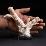 Genuine Angel Skin Coral Hand Carving // V1