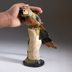 Genuine Polished Hand Carved Parrot + Custom Stand // V2