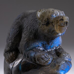 Genuine Natural Labradorite Hand Carved Bear // V1