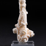 Genuine Angel Skin Coral Hand Carving // V3
