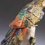 Genuine Polished Hand Carved Parrot + Custom Stand // V2