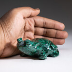Genuine Polished Hand Carved Malachite Frog