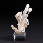 Genuine Angel Skin Coral Hand Carving // V2