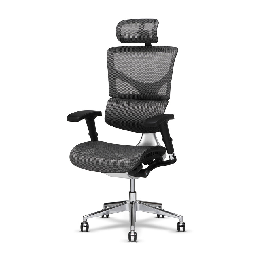 X-Chair - Therapeutic Office Chairs - Touch of Modern