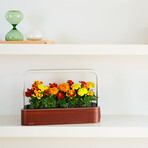 SmallGarden // Smart Garden With Basil Seed Pods