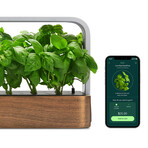 SmallGarden // Smart Garden With Basil Seed Pods