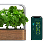 SmallGarden // Smart Garden With Basil Seed Pods