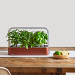 SmallGarden // Smart Garden With Basil Seed Pods